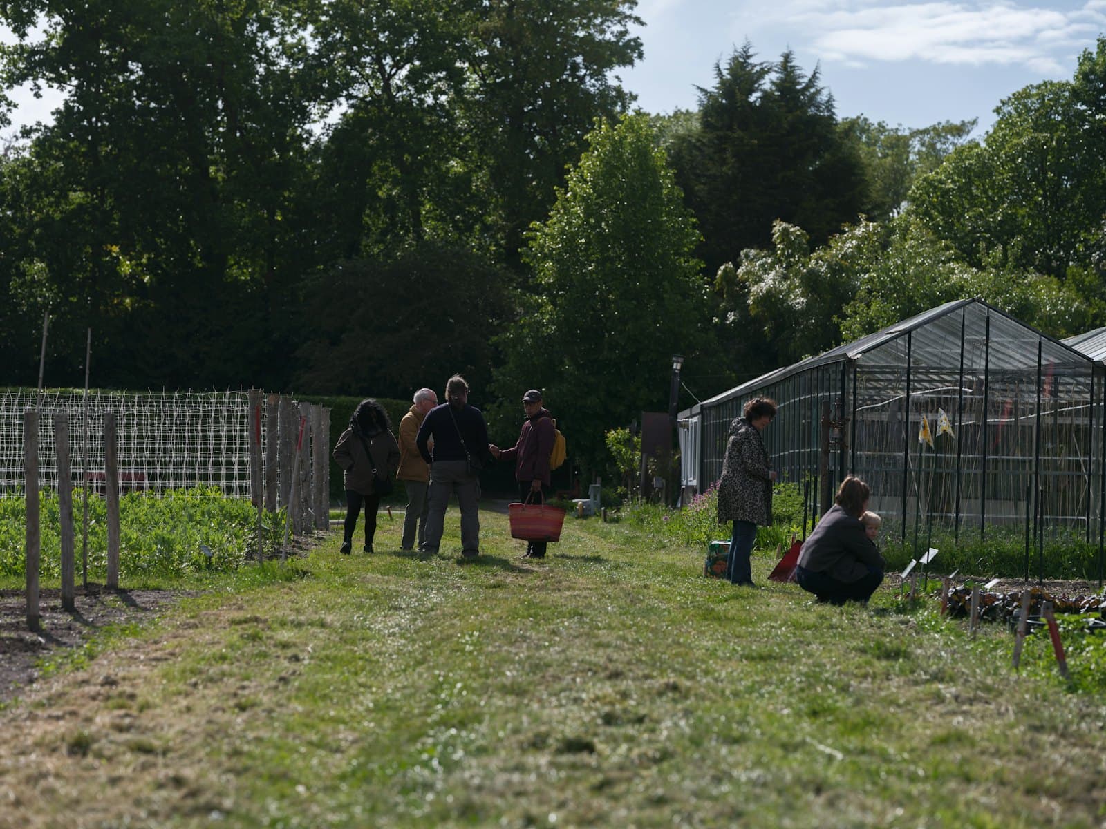 People working together in a community garden with greenhouses and tree cover.